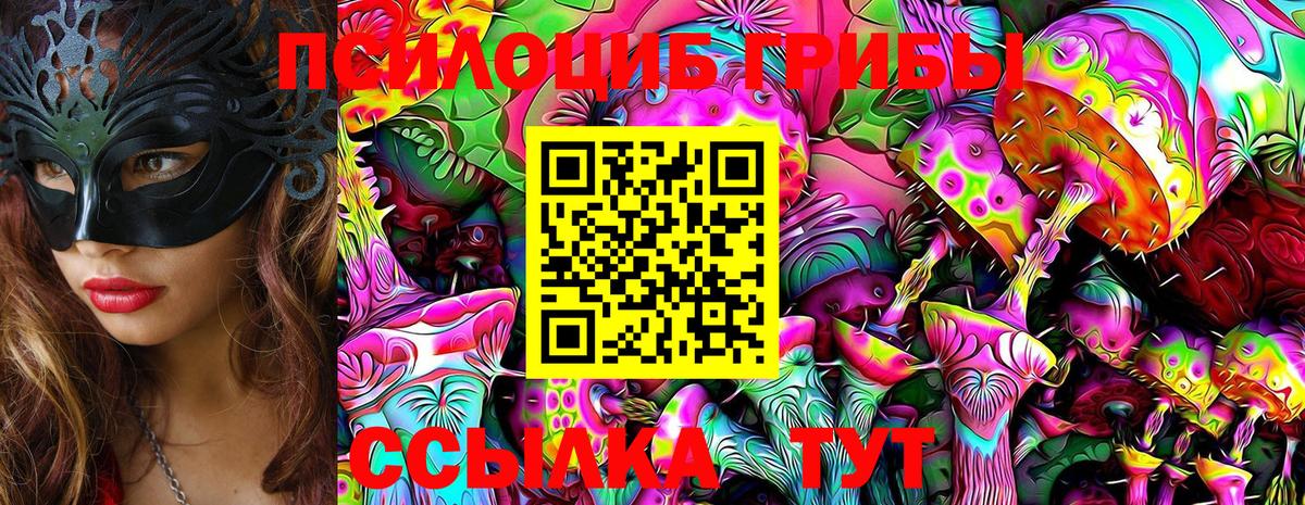 Псилоцибиновые грибы Psilocybe Великий Устюг