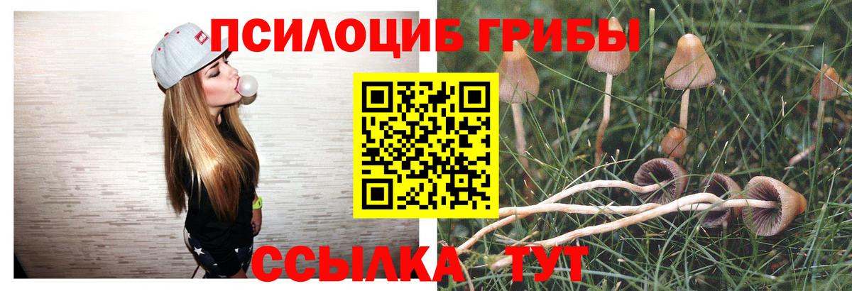 Великий Устюг  Галлюциногенные грибы Psilocybe  Вход с VPN  Галлюциногенные грибы Magic Shrooms 